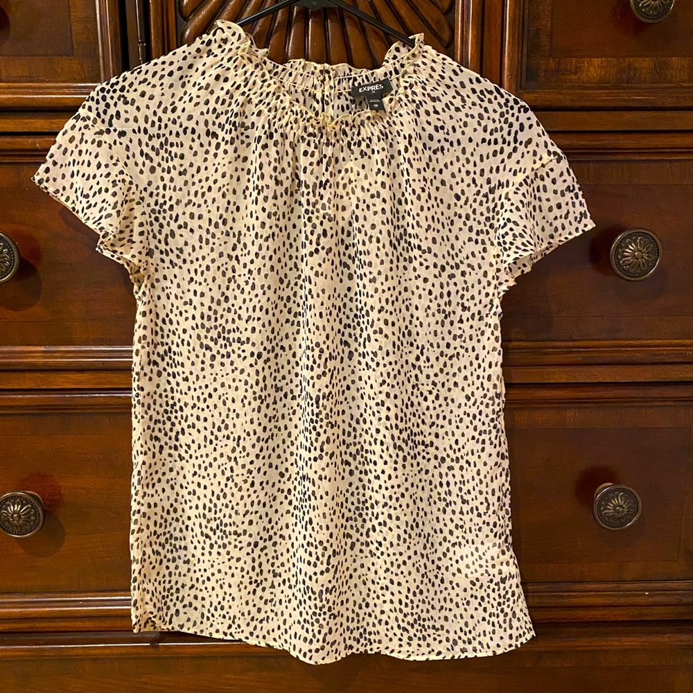 Sheer short sleeve Express blouse